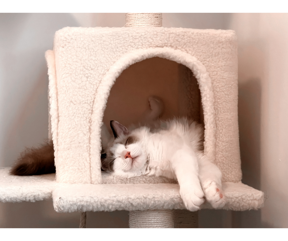 January Market Update